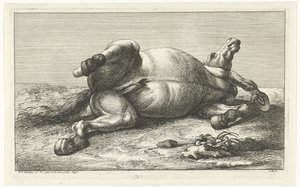 Chevaux tués au combat allongés sur le dos - Jan van Huchtenburgh  